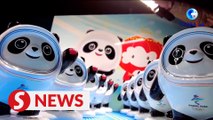 DIY Bing Dwen Dwen! How popular is mascot for Beijing 2022?
