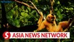 Vietnam News | Preserving Kon Ha Nung Biosphere Reserve