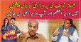 Shehbaz Sharif offers Pervaiz Elahi key Punjab post