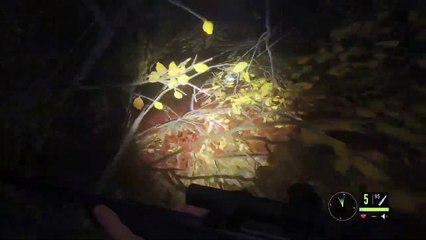 theHunter_ Call of the Wild Chapter 60! All Moose!