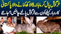 Rabbits Paal Ke Monthly 6 Lakh Kamane Wala Pakistani - Business Ke Liye Konse Rabbits Palne Chahiye?