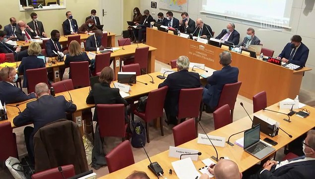 Commission des affaires étrangères : M. Jean-Yves Le Drian, ministre de l’Europe et des affaires étrangères - Mardi 15 février 2022