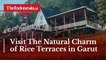 Visit The Natural Charm of Rice Terraces in Garut