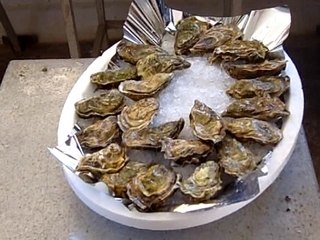 L'ouverture des huitres