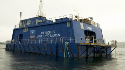 Proposal to expand aquacultural industry into Bass Strait