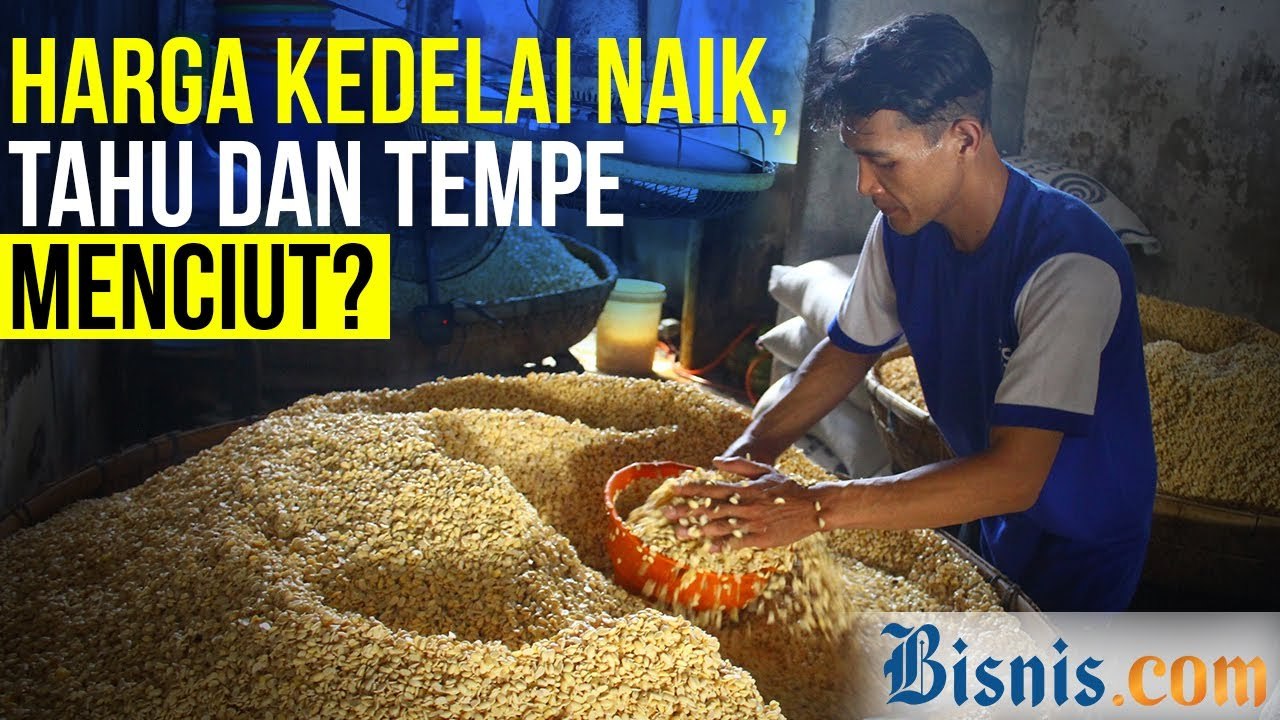 Kedelai Mahal, Ukuran Tahu dan Tempe Mengecil?