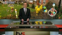 Firetusinde farverige æg i forhaven | 4000 påskeæg | Egon Hagensen | Højer | Tønder | 26-03-2015 | TV SYD @ TV2 Danmark
