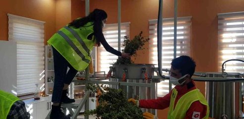 Gençlerin ürettiği bitki çayı ve sebze tohumları, Cumhurbaşkanı Erdoğan'a gönderiliyor