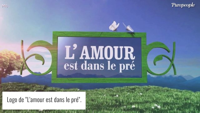 L'amour est dans le pré : Descente aux enfers pour un agriculteur qui a tout plaqué