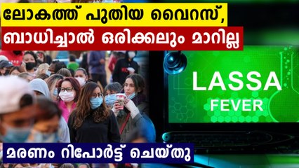 Lassa Fever: Symptoms, Risks, and What You Need to Know 🩺