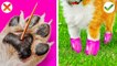 AMAZING HACKS AND GADGETS FOR PET OWNERS Cool Pet Hacks and DIY ideas Funny Tips by 123 GO