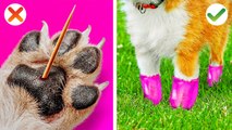 AMAZING HACKS AND GADGETS FOR PET OWNERS Cool Pet Hacks and DIY ideas Funny Tips by 123 GO