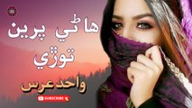 Haanre Pireen Tode | Wahid Urs | New Sindhi Song