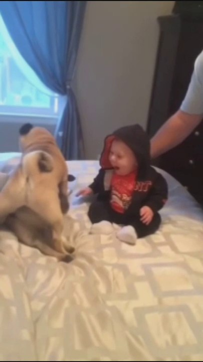 puppy and baby bound , puppy and baby funny video, funny video, follow me for more interesting video,