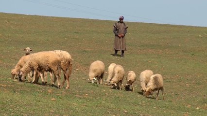 بسبب قلة الأمطار.. مخاوف من موسم جفاف في المغرب