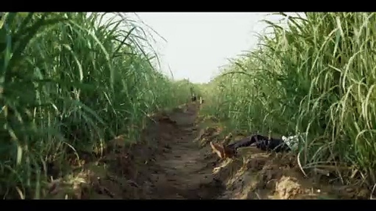Zaho Zay  - Trailer
