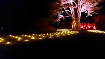 Ignite at Nymans: A trail of lights, lanterns, fire and fantasy