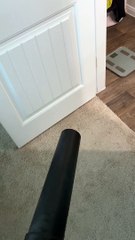 Husband Uses Leaf Blower to Surprise Wife Brushing Teeth