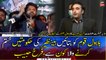 Minister of State for Information Farrukh Habib responds to Bilawal Bhutto's speech