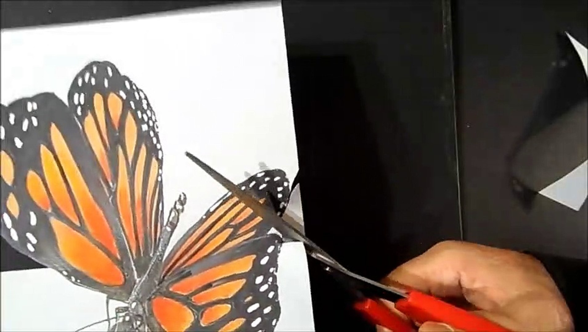 How to Draw 3D Butterfly in Simple Way, Anamorphic illusion