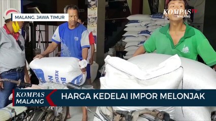Harga Kedelai Impor Melonjak, Tembus Rp 11 ribu Per Kilogram
