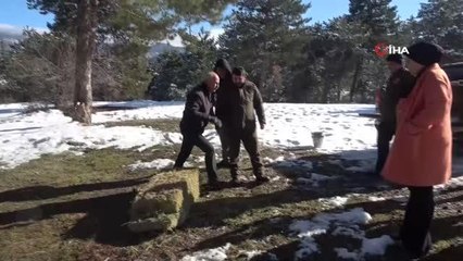 Çorum'da yaban hayvanları için doğaya yem bırakıldı