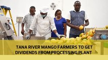 Tana River mango farmers to get dividends from processing plant