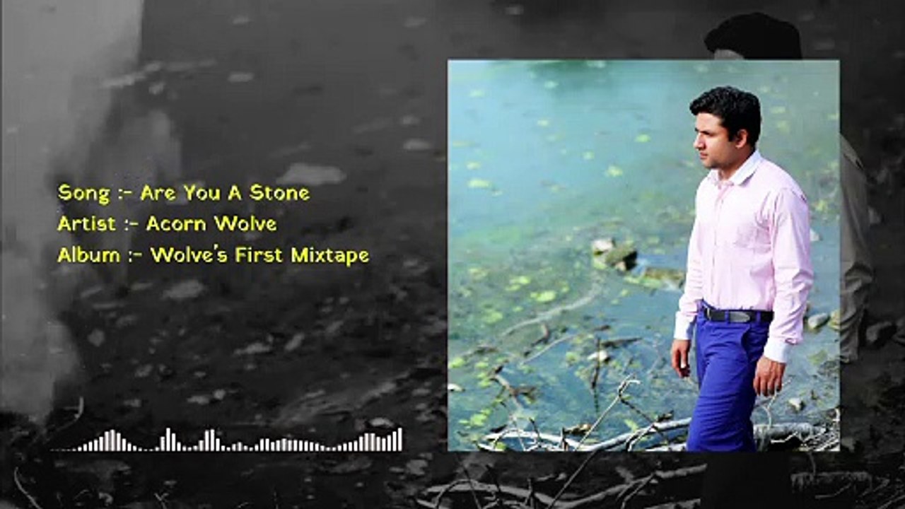 Acorn Wolve - Are You A Stone (Official Audio)