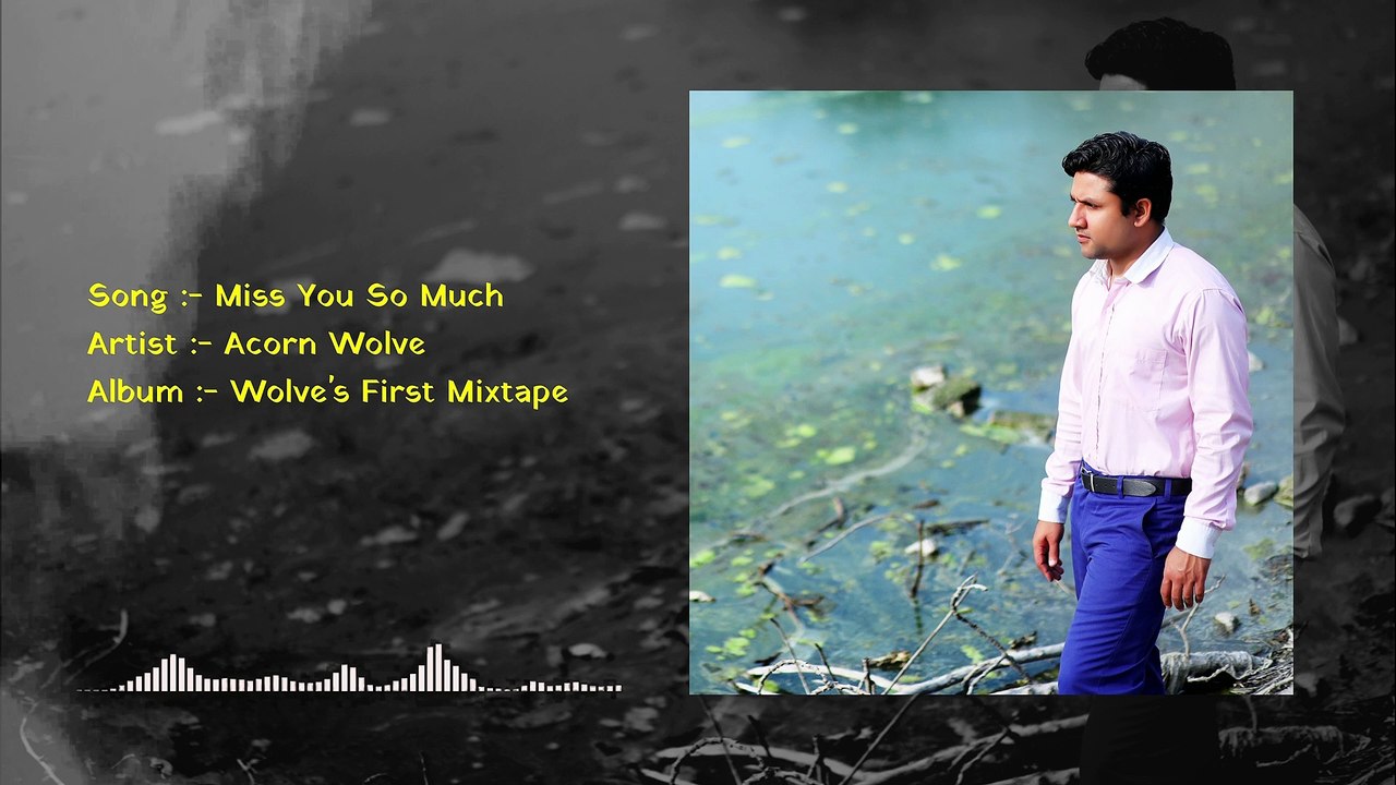 Acorn Wolve - Miss You So Much (Official Audio)
