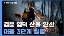 경북 영덕 산불, 강풍 타고 확산...올해 첫 산불 3단계 / YTN