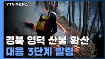 경북 영덕 산불, 강풍 타고 확산...올해 첫 산불 3단계 / YTN