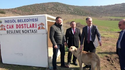 İnegöl'de can dostları için yeni beslenme noktaları oluşturuluyor