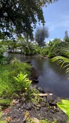 Frederick Bousquet et sa fille Manon à Tahiti.