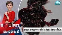 พบสิ่งคล้ายคราบน้ำมันในเหงือกปลาทะเล ในระยอง | 16 ก.พ. 65 | รอบโลก DAILY (4/4)