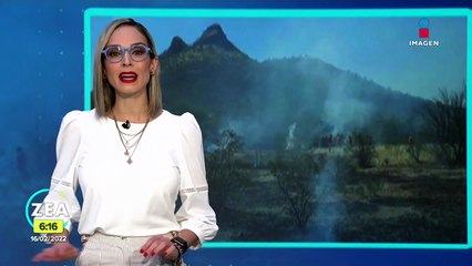 Incendio forestal devastan mil 300 hectáreas en la sierra de Sonora