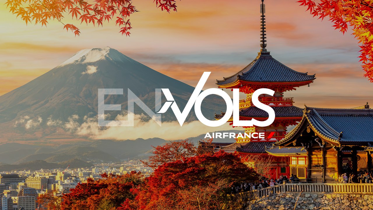 Guide de voyage / Travel Guide - Tokyo (Japon)