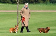 Queen Elizabeth releasing cologne for dogs which smells of 'coastal walks'