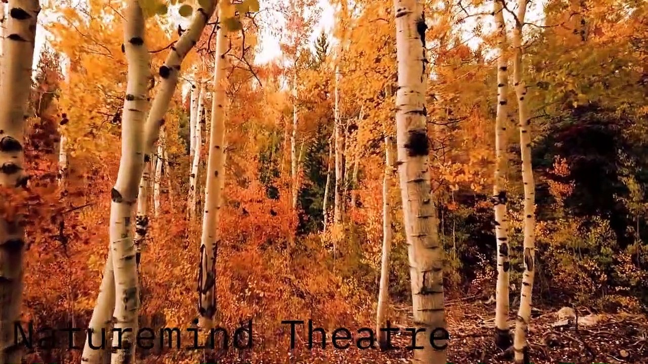 Healing Relaxing Music For Mind & Mood Restoration | Sleep, Yoga, Meditation, Relaxation