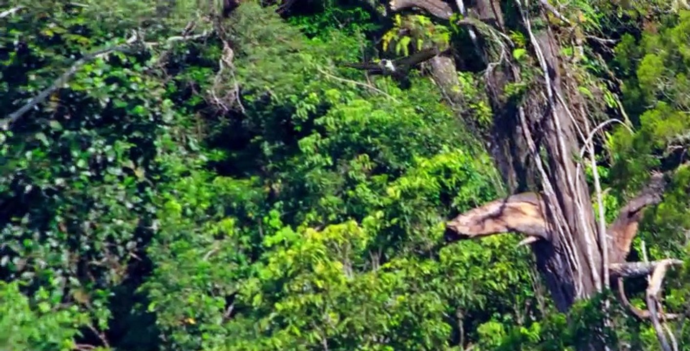Our Planet S01 E03