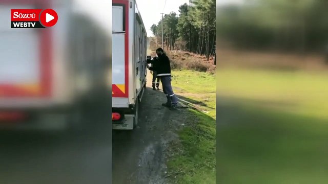 Beykoz Belediyesi'nin ormanlık alana bir kamyon dolusu köpek getirdiği görüntülendi