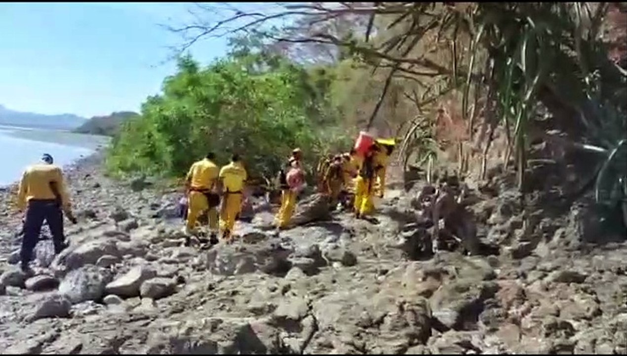 INCENDIO FORESTAL