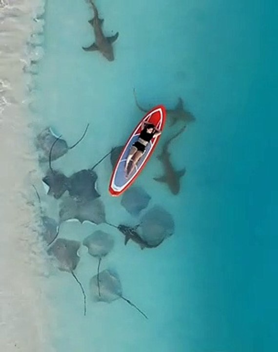 Maldives delivers breathtaking experiences both above and below the waves.