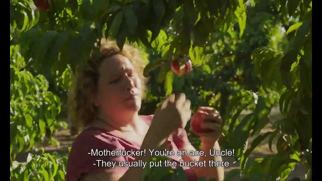 Alcarràs de Carla Simón - Clip VOSI - Avalon