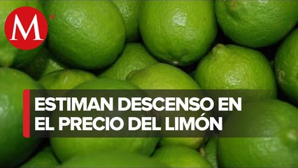 Precio del limón subió hasta 110 en tres semanas empezará a bajar: Profeco
