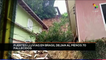 teleSUR Noticias 17:30 16-02: Preocupa en Brasil cifras de desparecidos tras intensas lluvias