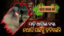 Meet Brave Odisha Forest Homeguard Who Has Become Internet Sensation