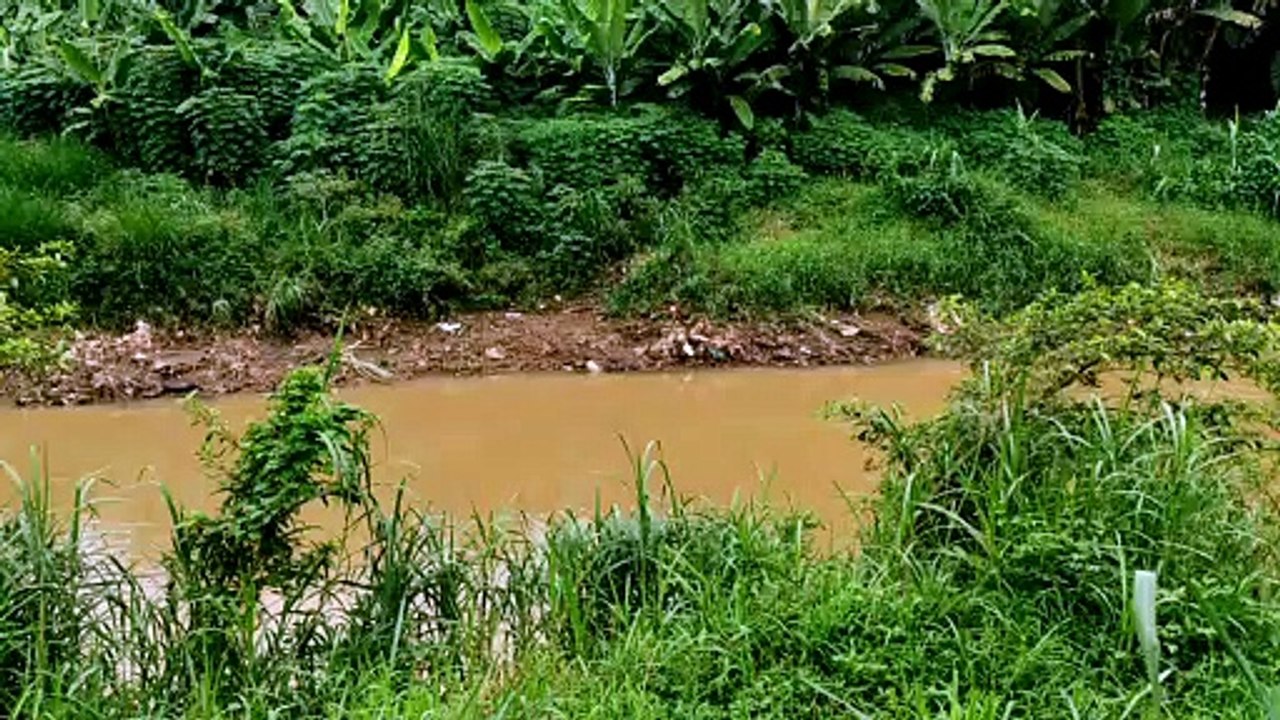 Ciliwung river