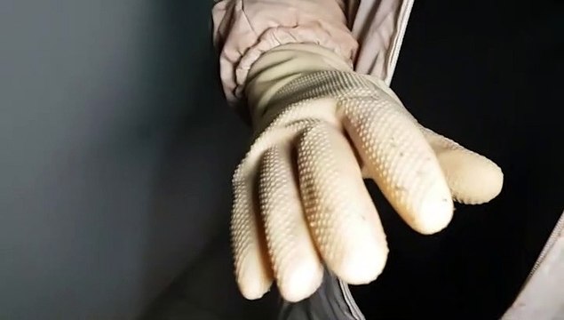 É assustador, eles tem quatro crianças na casa diz síndico de apartamento após invasão de abelhas