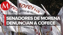 Morena denuncia a Cofece por autorizar concesión de litio entre empresas extranjeras