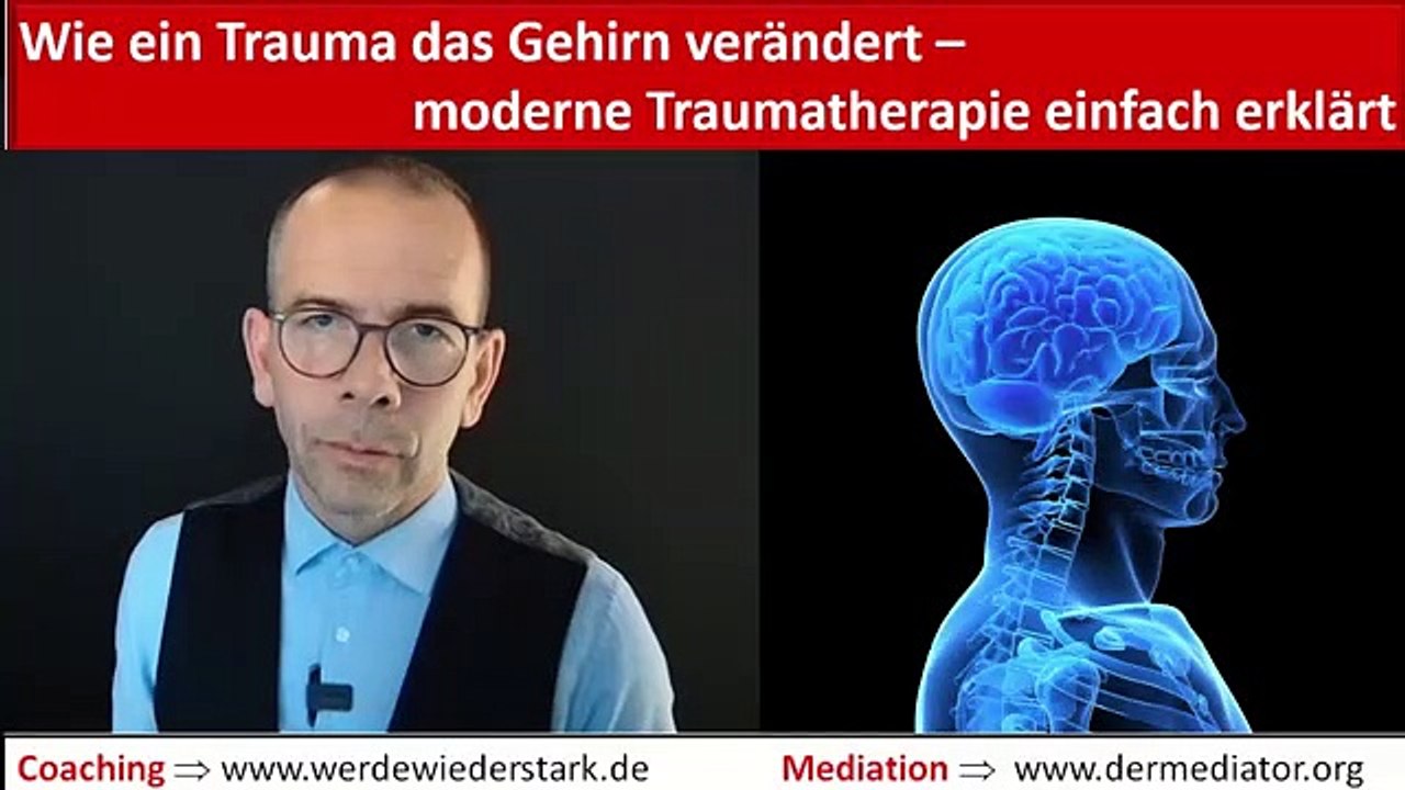 Moderne Traumatherapie - Wie geht das und wie verändert ein Trauma das Gehirn
